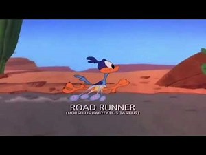72 Years Of Wile E Coyote And The Road Runner
