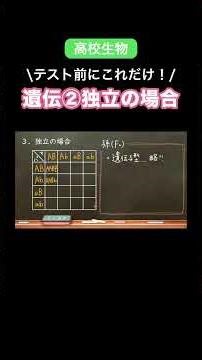 遺伝(独立)の考え方、これだけ覚えとこ！#定期テスト #高校生物