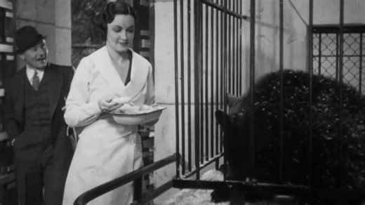 Видео Murders in the Zoo 1933 | OK.RU