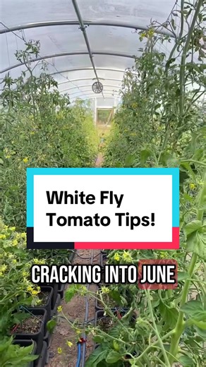 AutoPot USA on TikTok