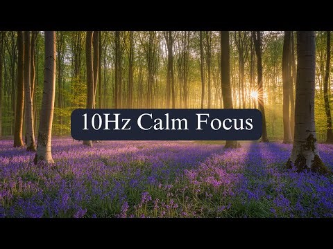 Focus Music 10Hz Alpha Waves with Cello Flute and Bird Sounds for Concentration and Relaxation