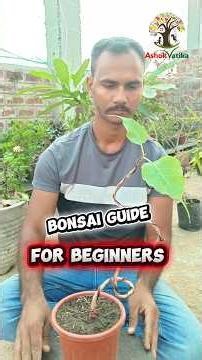 How to Start Bonsai? 🌱 Beginner Guide (Peepal) | Bonsai Starting Process Step-by-Step 🔥 #shortsfeed