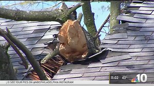 5.8K views · 20 reactions | A local homeowner describes the winds...