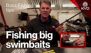 Oversized #swimbaits are very popular right now. Check out these #fishingtips on how to select, judge color and rig up swim baits of all sizes, including large swimbaits. Strike King Rage Swimmer Swim Bait : Https://bassproshops.vzck.net/da76kq For all your bass fishing and outdoor sports needs: https://bassproshops.vzck.net/WqGoYO #RageSwimmer #strikeking #FishingTips #kvd Bass Pro Shops | Lew's | Costa Sunglasses | Mossy Oak | Strike King Lure Company | Mustad Fishing | Toyota USA | Nitro Boat