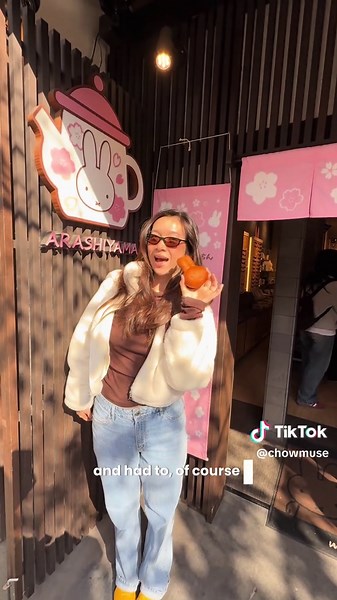 Exploring Zen in Kyoto: A Travel Vlog Adventure