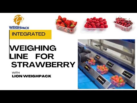 The SHOCKING Efficiency of Automated Strawberry Packing Machines