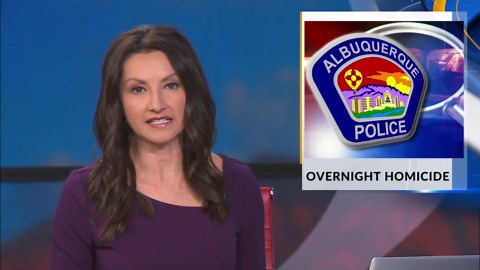 Albuquerque police launch homicide investigation after woman is found dead