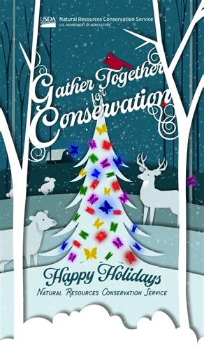 To all the producers and partners we work with, thank you for what you do and for placing your trust in NRCS this year. We’re wishing you and your families a joyful holiday season and a prosperous new year! | USDA Natural Resources Conservation Service