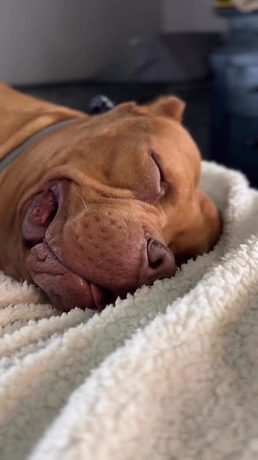 49 reactions | Nap time | Brian Kendrick | Facebook