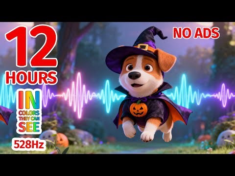 💤🎵 Frida & Frodo in Paris - A Dog’s Mini Adventure ✨ Frida & Frodo: Around the World🐶