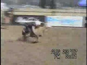 Mutton Bustin' - Little Kids Sheep Rodeo