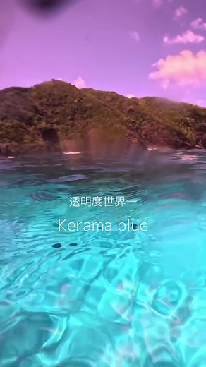 慶良間の透明度が世界一の海の魅力