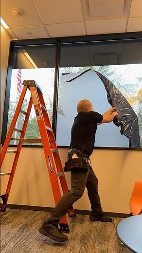 Precision in Action: Window Film Removal Done Right!