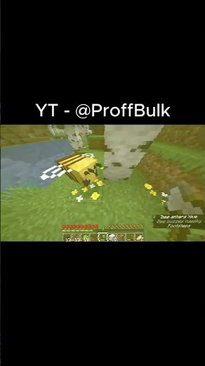 I STARTED A DANCE PARTY WITH BEES IN MINECRAFT 😂| MINECRAFT SURVIVAL EPISODE 1