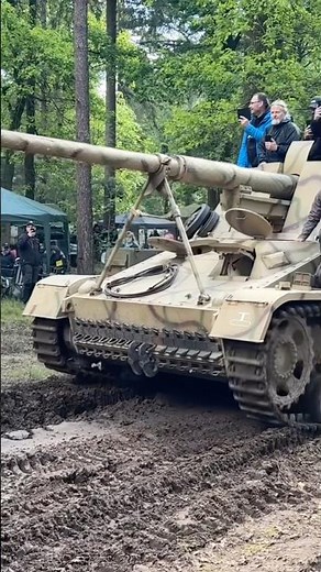 Rare Nashorn on the Move