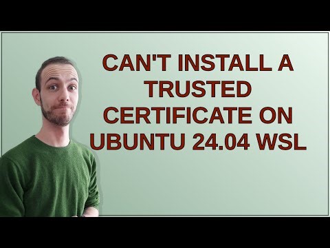 Can't install a trusted certificate on Ubuntu 24.04 WSL