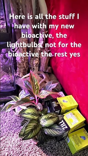 Bioactive materials