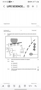 08：40Vol）4GLTE． 11く LIFE SCIENCE．．．凹Copyright reservedPl... | Filo