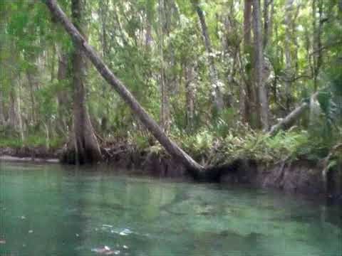 2011 Spring Break in Weeki.