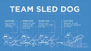 9.4K views · 270 reactions | Thanks for taking me for a ride through the mountains, Team Sled Dog. I'm over the fence to be donating the profits from this collection to you. Now, let's break it down for the humans, shall we? https://teddythedog.com/collections/team-sled-dogs | Teddy the Dog Apparel | Facebook