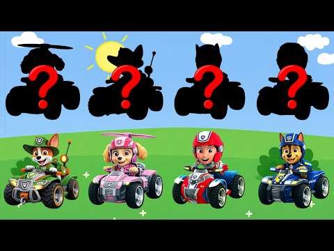 Paw Patrol and Friends Learn Kids Useful Stories for Kids Cartoon Paw Patrol Bonus Episodes #2