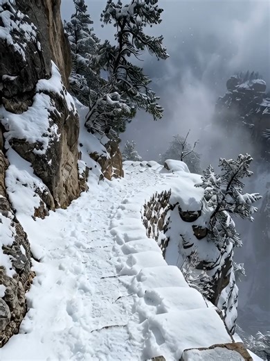 #naturevideos #naturelover #snow #nature #edge