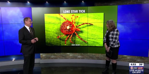 Analyzing a fatal tick bite