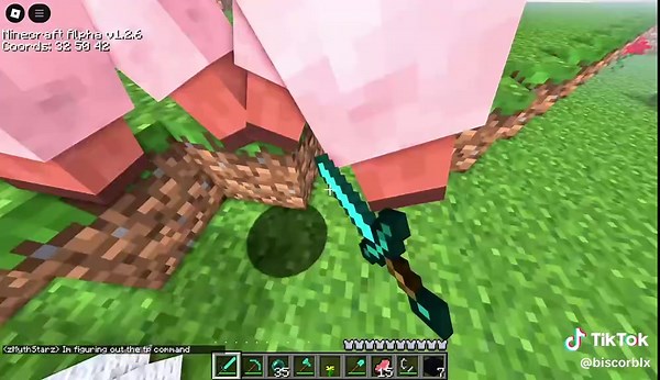 Avances en nuestras partidas de Minecraft y Roblox