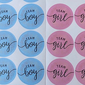 Team Boy Team Girl Gender Reveal Pink Blue Round Stickers, Gender Reveal Baby Shower Sticker Decal, Gender Reveal Cup Envelope Shirt Decals - Etsy