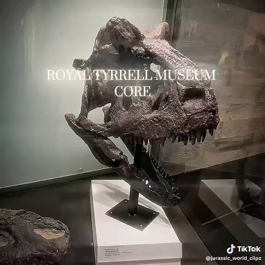 Exploring Dinosaurs at the Royal Tyrrell Museum
