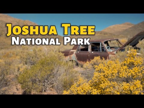 Explore Joshua Tree National Park 🇺🇸 | Best Hikes, Views & Tips!