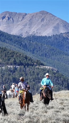 1.8K views · 530 reactions | IG, do your thing and find me the right...