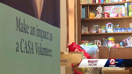 Jackson County Court Appointed Special Advocates asking for public's help