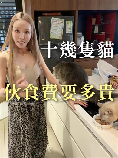 有人覺得這樣的貓咪伙食費很貴 但我覺得是在保障牠們的未來 #貓咪 #大蘋uuuuu #公主派對 #寵物