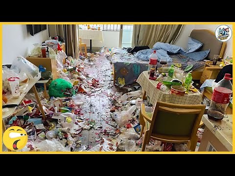 5 Filthy Houses Transformed 🧼 | Satisfying Deep Cleaning Compilation (Speed Up)