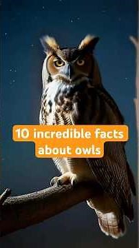 10 incredible facts about owls #shorts