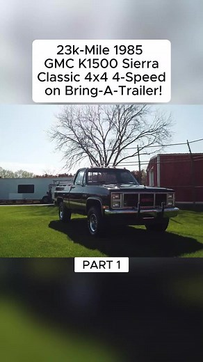 Discovery Daisy on TikTok