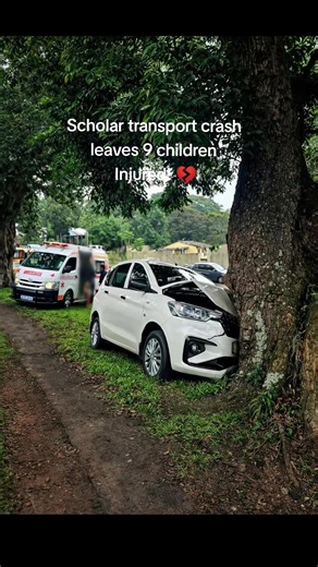 🚨 Pinetown Scholar Transport Crash Leaves 9 Children Injured! 💔 Nine school children were injured on Sarnia Road in Pinetown, west of Durban, after their scholar transport vehicle lost control and crashed into a tree near Sarnia Primary School. The incident occurred on Thursday afternoon and has sparked renewed concerns about the safety of scholar transport services in KwaZulu-Natal. 📌 Incident Details Location: Sarnia Road, near Sarnia Primary School, Pinetown Vehicle: Scholar transport carr