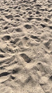 AOT fans cuando vemos el mar: emotivo edit de Attack on Titan