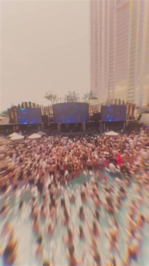 Palm Tree Beach Club on Instagram: "Debut year delivered 🌴 See you in March 2026!"