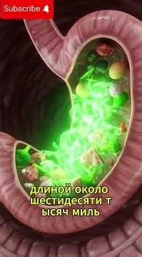 «Что происходит внутри человеческого организма? Правда, от которой вы будете в шоке!»#ФактыОМозге