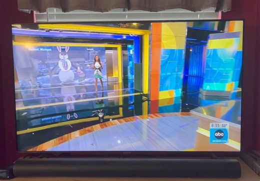 The Snowman was featured on Good Morning America this morning. Thank you Julie Waack for capturing it! 🐰 ⛄️ | Snowman Cam