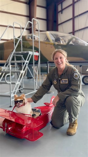 67K views · 6.7K reactions | ✈️ Had an absolute BLAST at Girls in Aviation Day at Sheltair! My Soupcan 3000 was in full effect making smiles all day ✨ Met some incredible women pilots — even a few who fly in the Air Force! Honored to be a special guest  #girlsinaviation #smilesfurmiles #therapydog #soupcan3000 #nonprofit | Koda the Fluff | Facebook