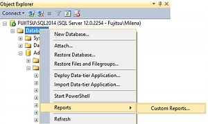 Using custom reports to improve performance reporting in SQL Server 2014 – running and modifying the reports