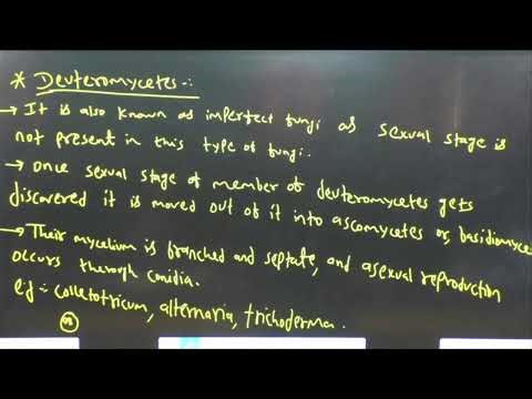 11th E.M Biology Class - 94 (L-09) Biological Classification