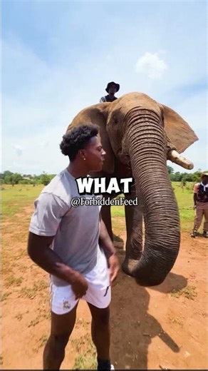 Ishowspeed did WHAT?! 💀🐘 #ishowspeed #speedyp #funny