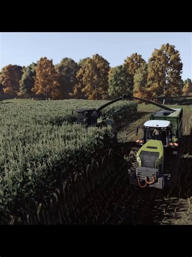Maize Silage on Lunow #Reshade #shader #LS25 #FS25 #farmingsimulator25 #realistic #farming #Silage #Claas #Krone