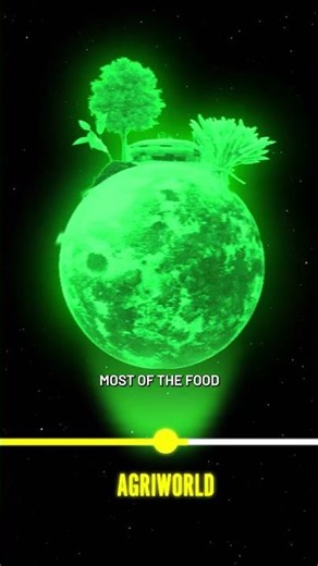 The Shawda Supply Chain