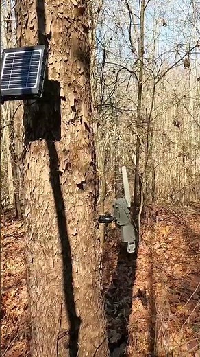 Spypoint Flex Solar power setup.