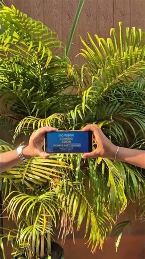 Process and Technical Safety Program